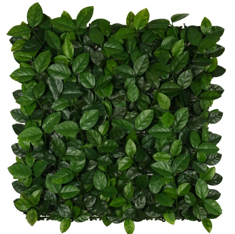 Gelsomino