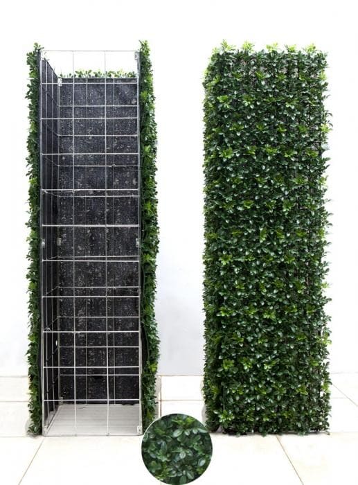Barriera di Buxus