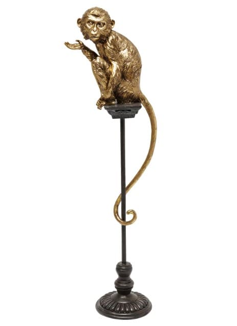 Circus monkey