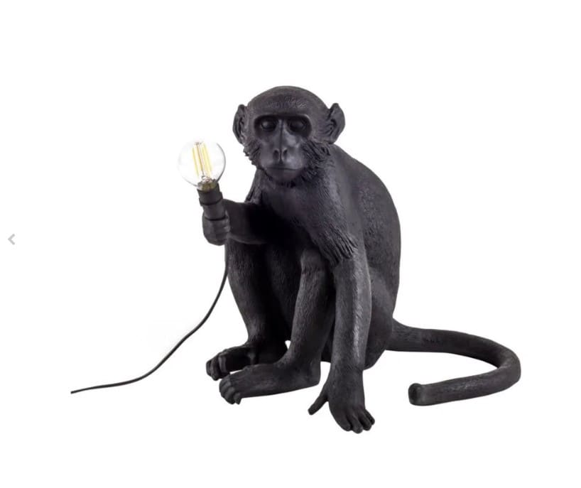 Monkey sitting