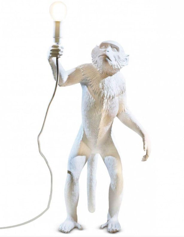 Monkey standing