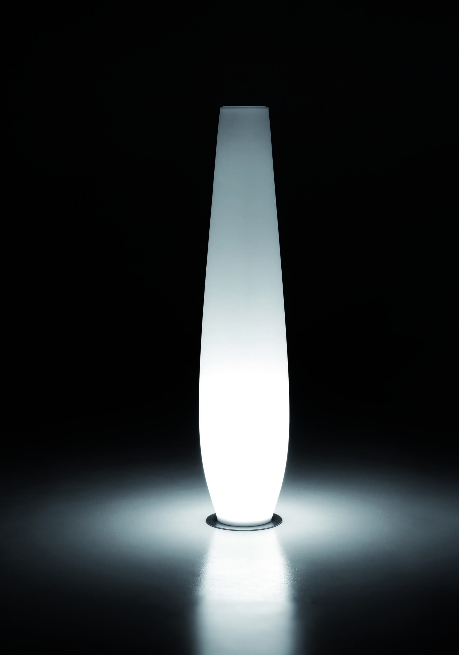 Nicole light