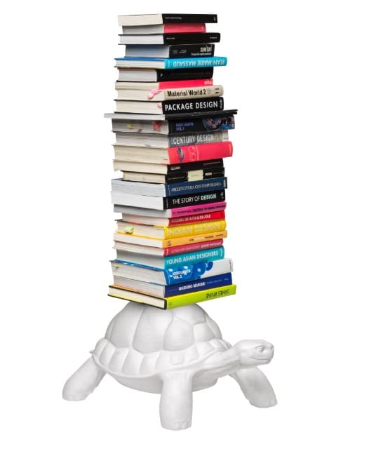 Turtle carry