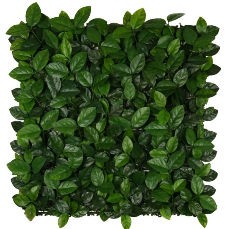Gelsomino