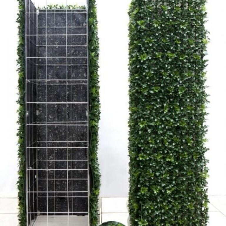 Barriera di Buxus