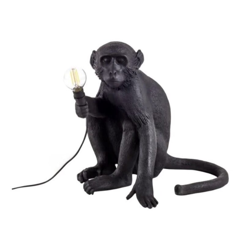 Monkey sitting