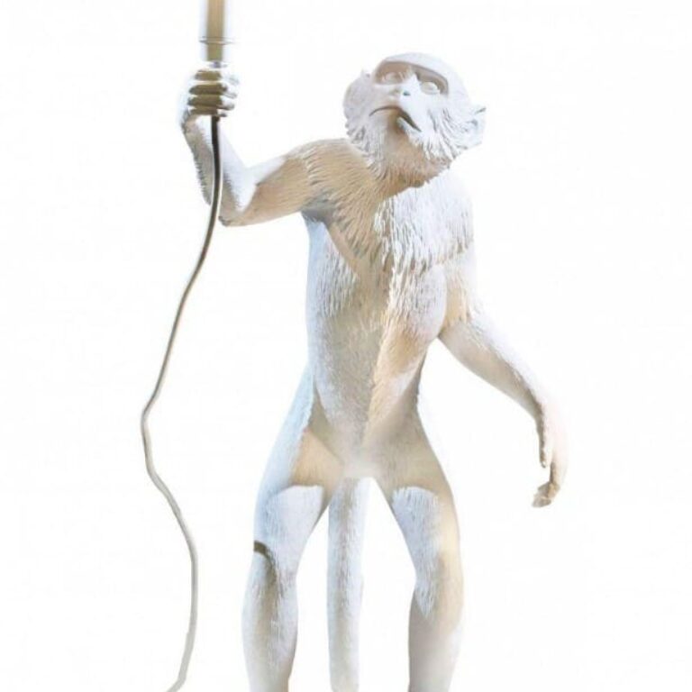 Monkey standing