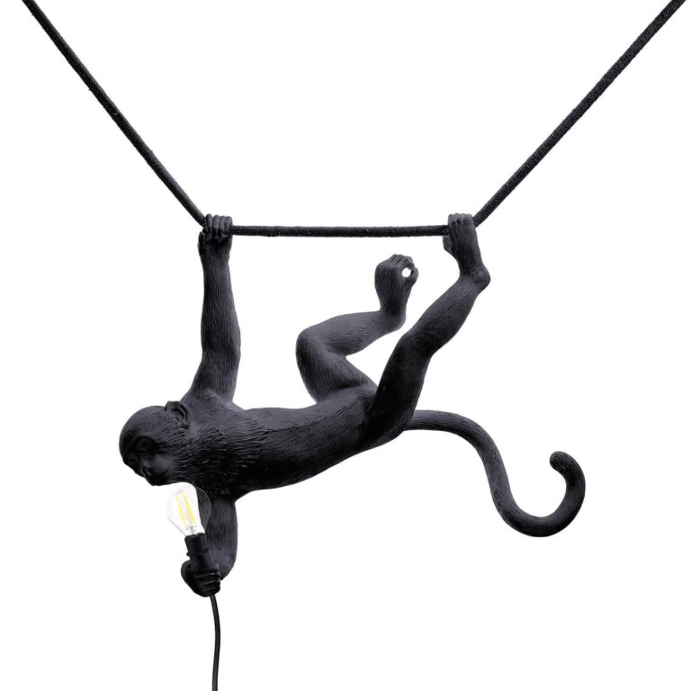 Monkey swing